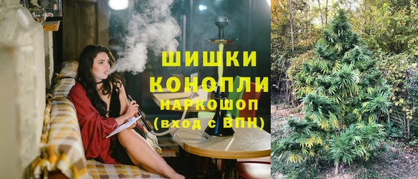 эйфоретик Балахна